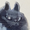 Gatti